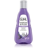 Guhl Silberglanz & Pflege Shampoo 1000 ml
