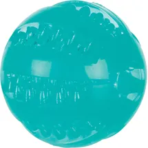Trixie Denta Fun Ball ø 6 cm Mintgeschmack