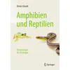 Amphibien und Reptilien