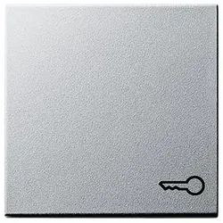 GIRA Wippe 028726 Symbol Tür System 55 Farbe Alu