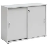 Proregal Lion Aktenschrank 76 x 100 x 40 cm Lichtgrau