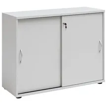Proregal Lion Aktenschrank 76 x 100 x 40 cm Lichtgrau