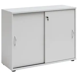 Proregal Lion Aktenschrank 76 x 100 x 40 cm Lichtgrau