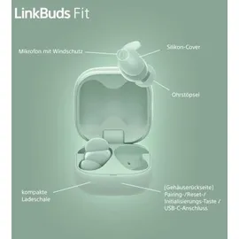 Sony LinkBuds Fit grün (WFLS910NG.CE7)