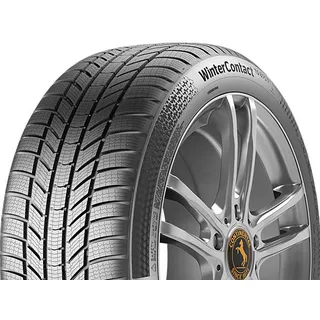 255/30 R19 91W XL