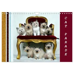 CAT PARADE (Wall Calendar 2025 DIN A4 landscape), CALVENDO 12 Month Wall Calendar