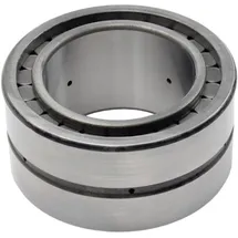 INA SL045009-PP Zylinderrollenlager Bohrungs-Ø 45mm Außen-Durchmesser 75 Drehzahl (max.) 2200 U/min
