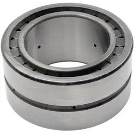 INA SL045009-PP Zylinderrollenlager Bohrungs-Ø 45mm Außen-Durchmesser 75 Drehzahl (max.) 2200 U/min