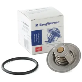 BorgWarner (Wahler) BORGWARNER Thermostat, Kühlmittel 3141.87D für VW