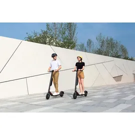 Segway Ninebot E45D E-Scooter (9 Zoll, Grau)