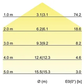 Brumberg 15317009 LED-Flexplatine 5m Gold