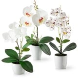 PASCH® Kunstblumen im Topf (35cm) - 3er Set Orchideen künstlich abgestimmtes Arrangement in Hochglanz-Keramiktöpfen, Deko Blumen künstlich, künstliche Orchideen (Weiß-Arrangement)