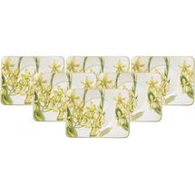 Villeroy & Boch Tasse, Amazonia (6 x 14 cm 6er Set - DS