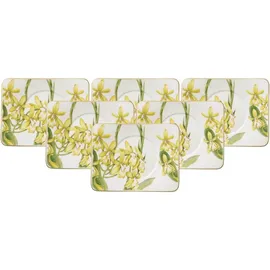 Villeroy & Boch Tasse, Amazonia (6 x 14 cm 6er Set - DS