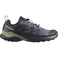 Salomon X-ADVENTURE GTX Herren, grau 44