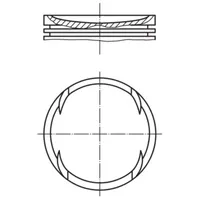 Mahle 028 PI 00120 000