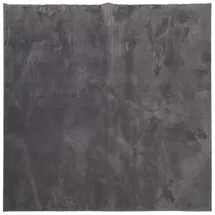 vidaXL Teppich HUARTE Kurzflor Weich und Waschbar Anthrazit 160x160 cm