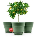 BigDean Blumentopf 47 x 39,5 cm Olivgrün
