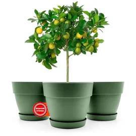 BigDean Blumentopf 47 x 39,5 cm Olivgrün