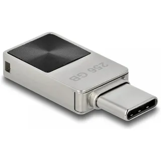 DeLock Mini USB Stick, 256GB,
