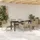 vidaXL Garten Essgruppe 7-tlg. Beige