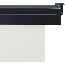 vidaXL Seitenmarkise 165 x 250 cm Creme Polyester