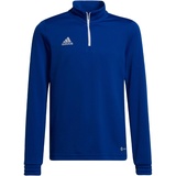adidas Herren ent22 tr topy Sweatshirt, Team Royal Blue, 128 EU (7-8 Y)