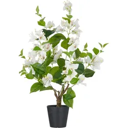 Kunstpflanze CREATIV GREEN "Bougainvillea", weiß, H:68cm, Kunststoff, Kunstpflanzen, mit zahlreichen Blüten