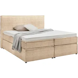 Boxspringbett Lion Braun ca. 180x200cm