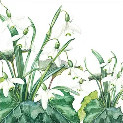 20 Servietten Papier 33x33cm 3-lagig - hochwertige Einweg Papierservietten Schneeglöckchen Motiv Partyservietten Blumen Tischdeko Frühling Sommer