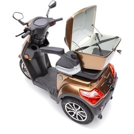 Econelo E-Trike J1000 25 km/h braun