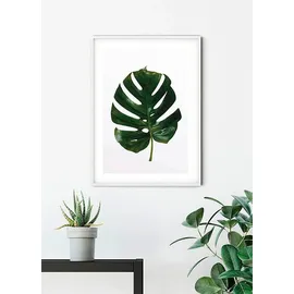 KOMAR Wandbild Monstera Leaf 30 x 40 cm