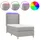 vidaXL Boxspringbett 100 x 200 cm Hellgrau