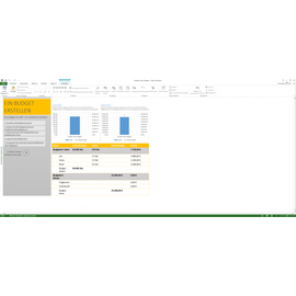 Microsoft Project Standard 2013 PKC DE Win