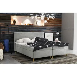 kaiser möbel Boxbett, Grau, 140x200 cm Schlafzimmer, Betten, Boxspringbetten
