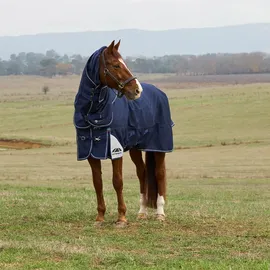 Weatherbeeta Comfitec Ultra Turnout Detach-A-Neck 220G, 140