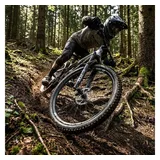 DT Swiss Laufrad E 1900 Spline 29" 30 mm