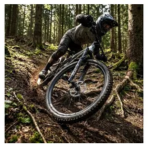 DT Swiss Laufrad E 1900 Spline 29" 30 mm