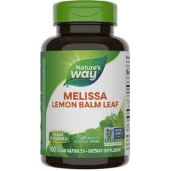 Melisse Zitronenmelissenblatt