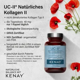 Kenay Natürliches Kollagen II Kapseln 60 St.