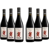 Romio Organic Rotwein Primitivo BIO Puglia IGT, Noten von Schwarzen Früchten, Gewürzen und Weißem Pfeffer, Vollmundig am Gaumen. 13,5% Vol., Karton mit 6 Flaschen mit jeweils 750 ml