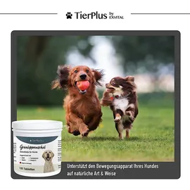 Exvital Grünlippmuschel Plus Gelenktabletten für Hunde 180 g