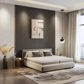 Hn8 Schlafsysteme Eco Spring Basic 140 x 200 cm H2