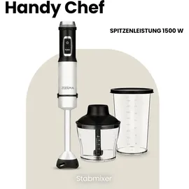 Zeegma 5 in 1 Stabmixer