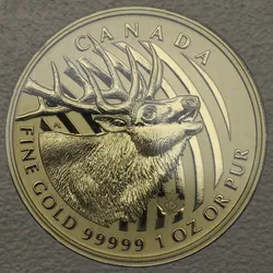 Goldmünze 1oz Bulking Elk 2017 Call of the wild (Kanada)