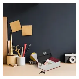 Relaxdays Buchtresor klein schwarz