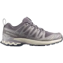 Salomon XA Pro 3D V9 Herren Dark Gull Gray/Cloudburst/Asphalt 46