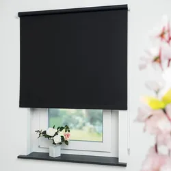 Seitenzugrollo LIEDECO "Uni" Gr. 14, schwarz, B:152cm H:180cm, Polyester, Rollos