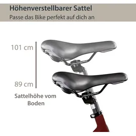 Agon Avesa 2023 28 Zoll RH 48 cm Damen rot