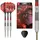 Target Darts Stephen Bunting GEN5 Steeldarts 22 g